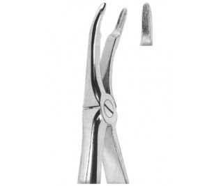 Extracting Forceps English pattern